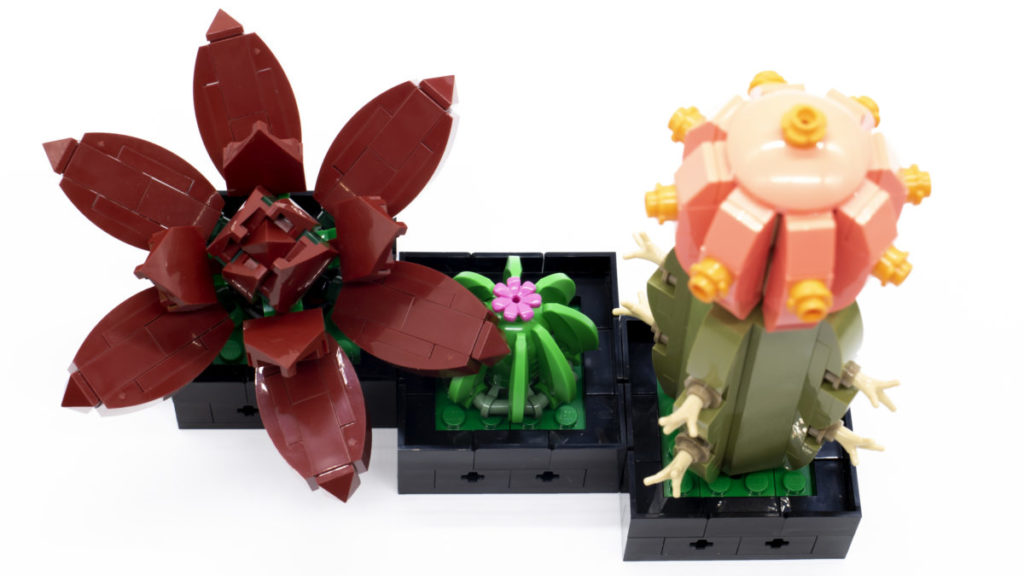 LEGO The Botanical Collection 10309 Succulents 32 1024x576